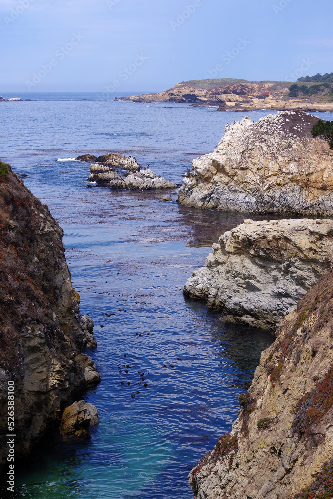 Rocky California pacific ocean coast at Point Lobos in Summer
