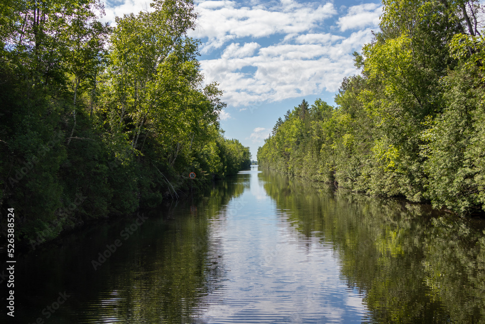 river in the forest on the Trent Severn Waterway in Ontario, Canada