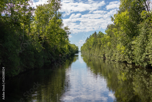river in the forest on the Trent Severn Waterway in Ontario  Canada