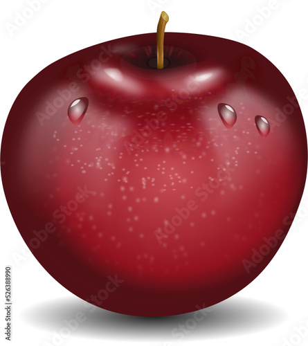 red apple vector