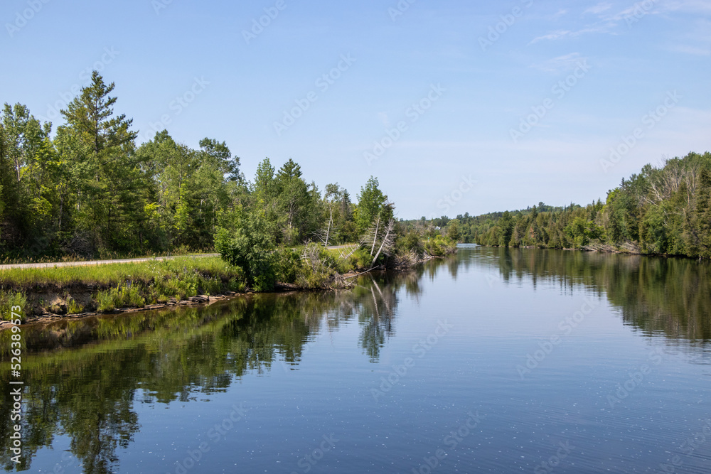 lake and forest