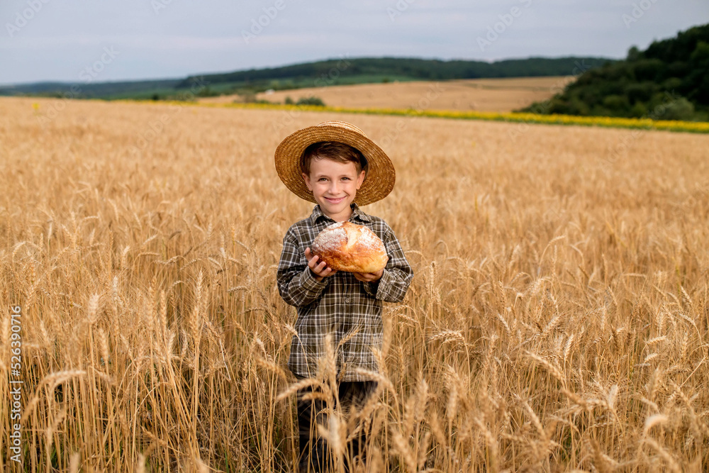 Little boy in the straw hat and shirt he held out his handing with bread in ripe grain. concept poverty, crisis, famine Little boy in the straw hat and shirt he held out his handing with bread in ripe grain. concept poverty, crisis, famine