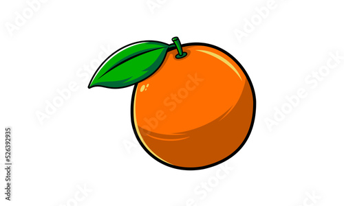 orange fruit vector illustration
