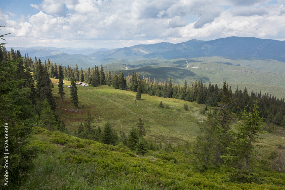 Carpathian steppe in the middle of the forest with a view of the Gorgan massif Carpathian steppe in the middle of the forest with a view of the Gorgan massif