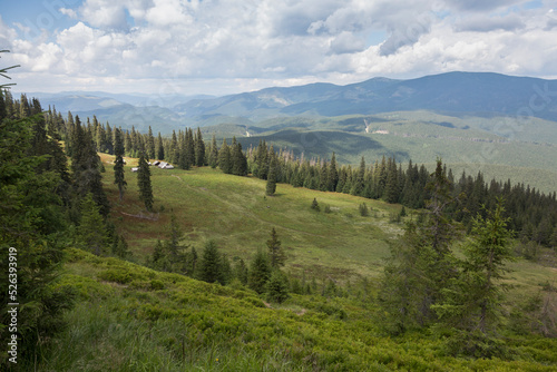 Carpathian steppe in the middle of the forest with a view of the Gorgan massif