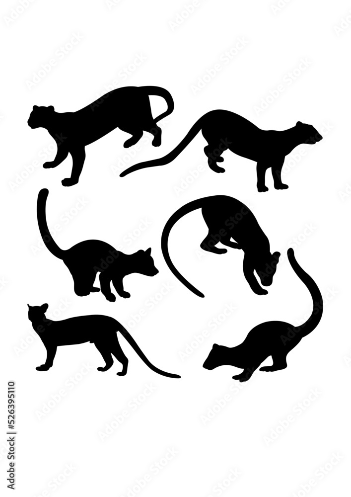 Fossa animal silhouettes. Good use for symbol, logo, icon, mascot, sign, or any design you want.