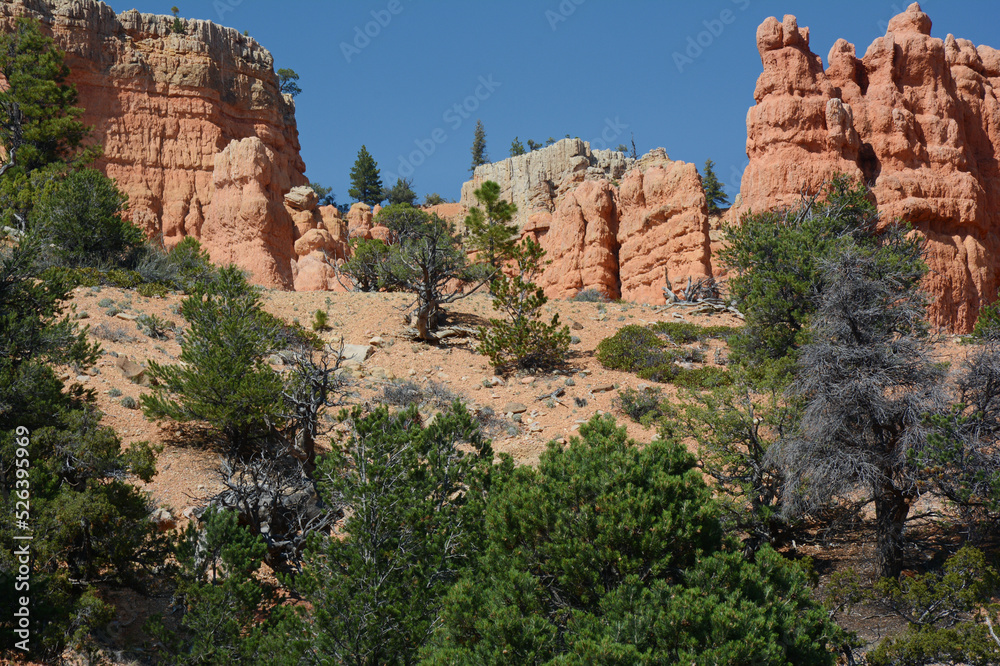 Red Canyon Formations - Dixie National Forest