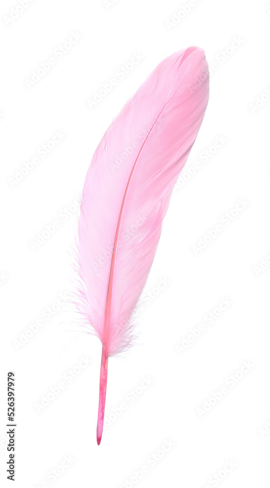 Fluffy beautiful pink feather isolated on white Fluffy beautiful pink feather isolated on white