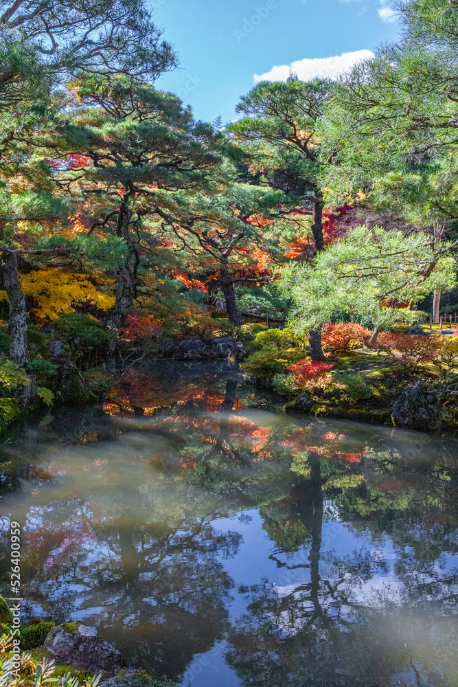 京都の紅葉 京都の紅葉