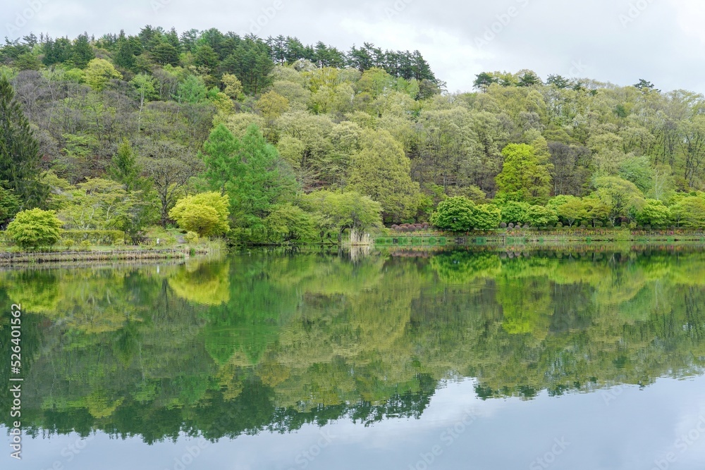 新緑に包まれた春の蓼科湖の情景＠長野
