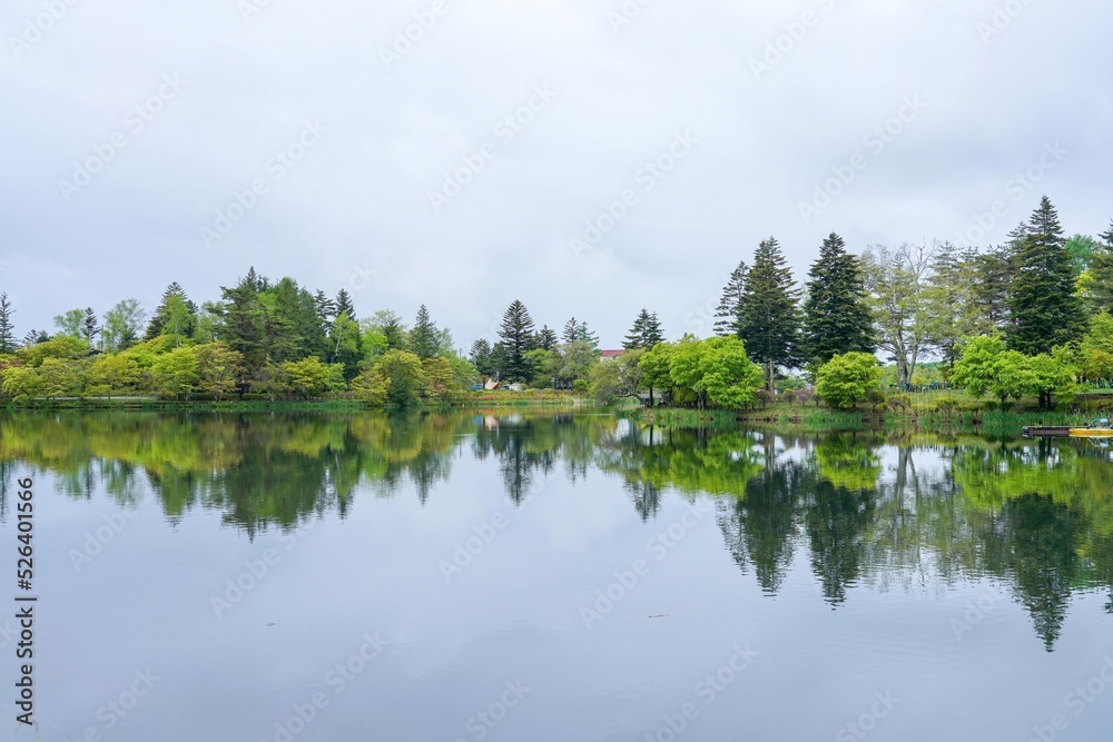 Obraz premium 新緑に包まれた春の蓼科湖の情景＠長野