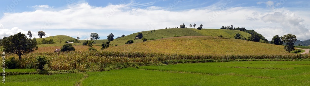 panorama of country farm on the hill