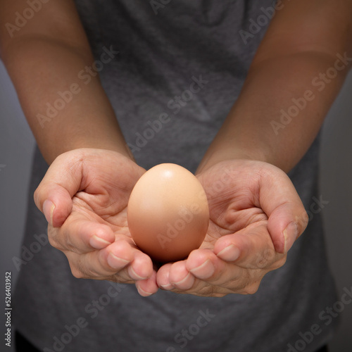 Human hands hold a chicken egg