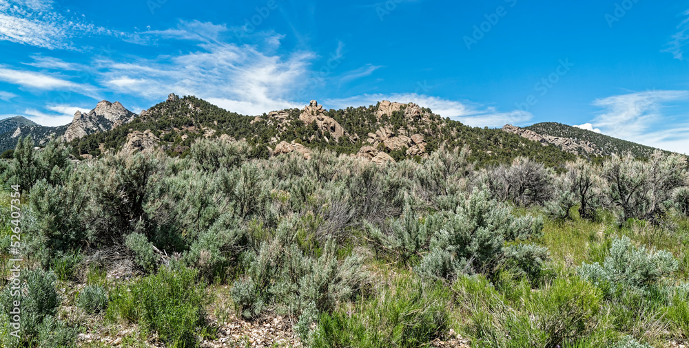 Sage and grass grows among the rock formations at the City of Rocks National Reserve in Idaho, USA