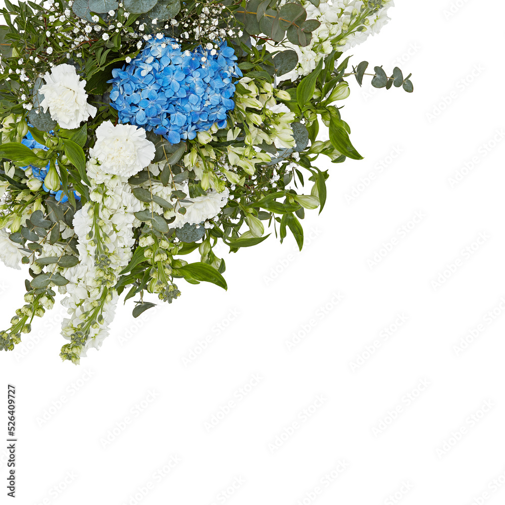 Fresh and colorful bouquet of flowers blooming beautiful first cut out transparent background