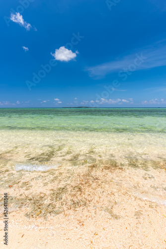 Blue sky  crystal clear water  gentle waves on the wild beach of Iriomote island..