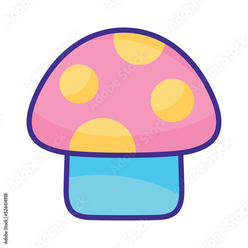 fungus plant garden nature