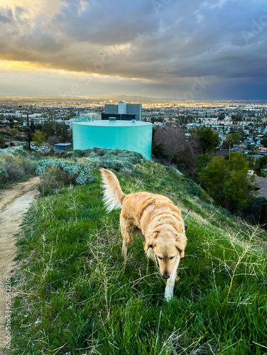 Dog Hiking in Hulda Crooks photo