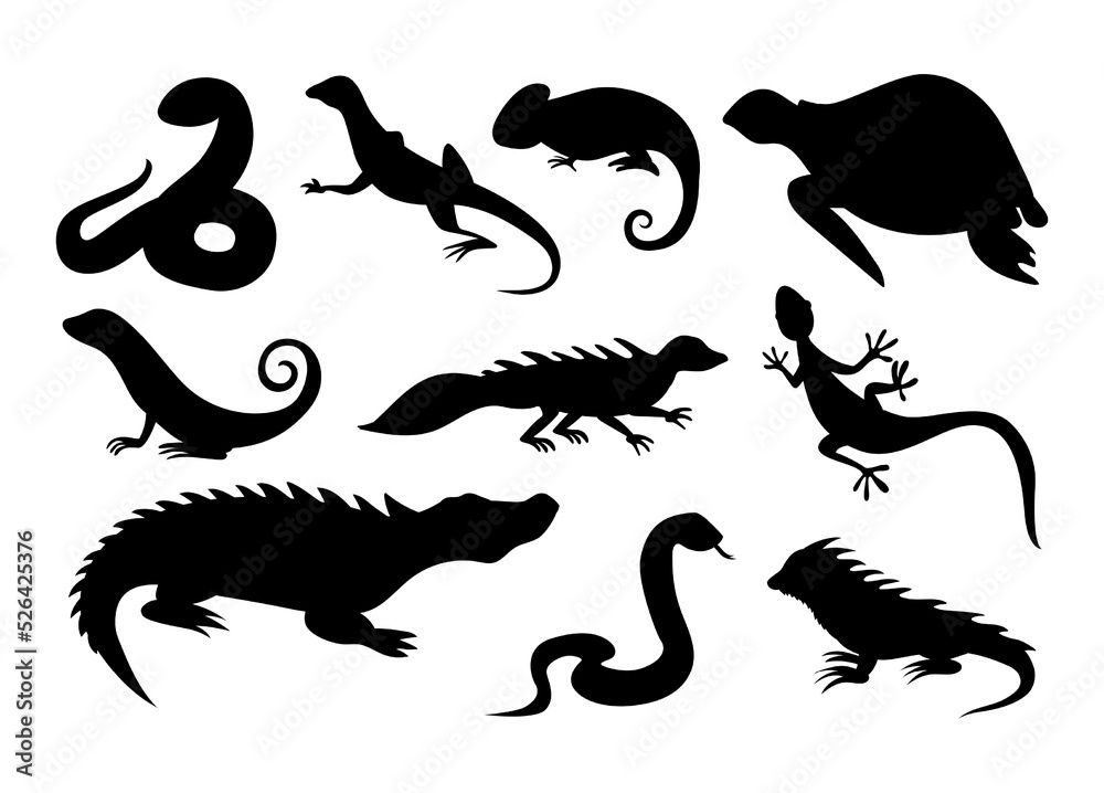 Naklejka premium Wild reptile silhouette. Tropical reptiles turtle, chameleon and tortoise. Lizard and crocodile or alligator, snake and iguana, amphibians black icons. Vector isolated collection