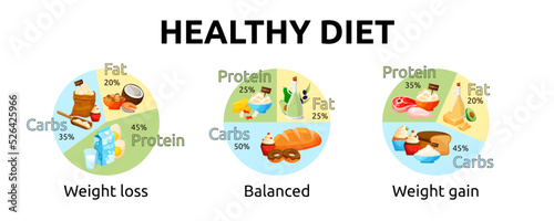 Fototapeta Naklejka Na Ścianę i Meble -  Diet food. Protein macronutrients. Carbohydrates and fats. Nutrition balance. Keto plate infographic. Ketogenic diagram. Meal complex for weight gain or loss. Vector background set