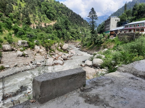 Natural beauty and wildlife of Kashmir Pakistan
 photo