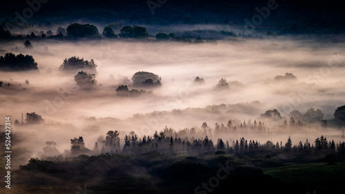Fototapeta Naklejka Na Ścianę i Meble -  Sunrise in the San River valley on the border between Poland and Ukraine. Bieszczady Mountains, Carpathians.