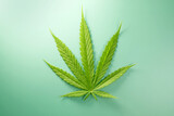 Close up Marijuana leaf  on a light green background , Medical using of marijuana cannabis plant product concept