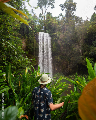 Waterfall in the rainforest - Millaa Millaa falls in the Atherton Tableland region.  photo