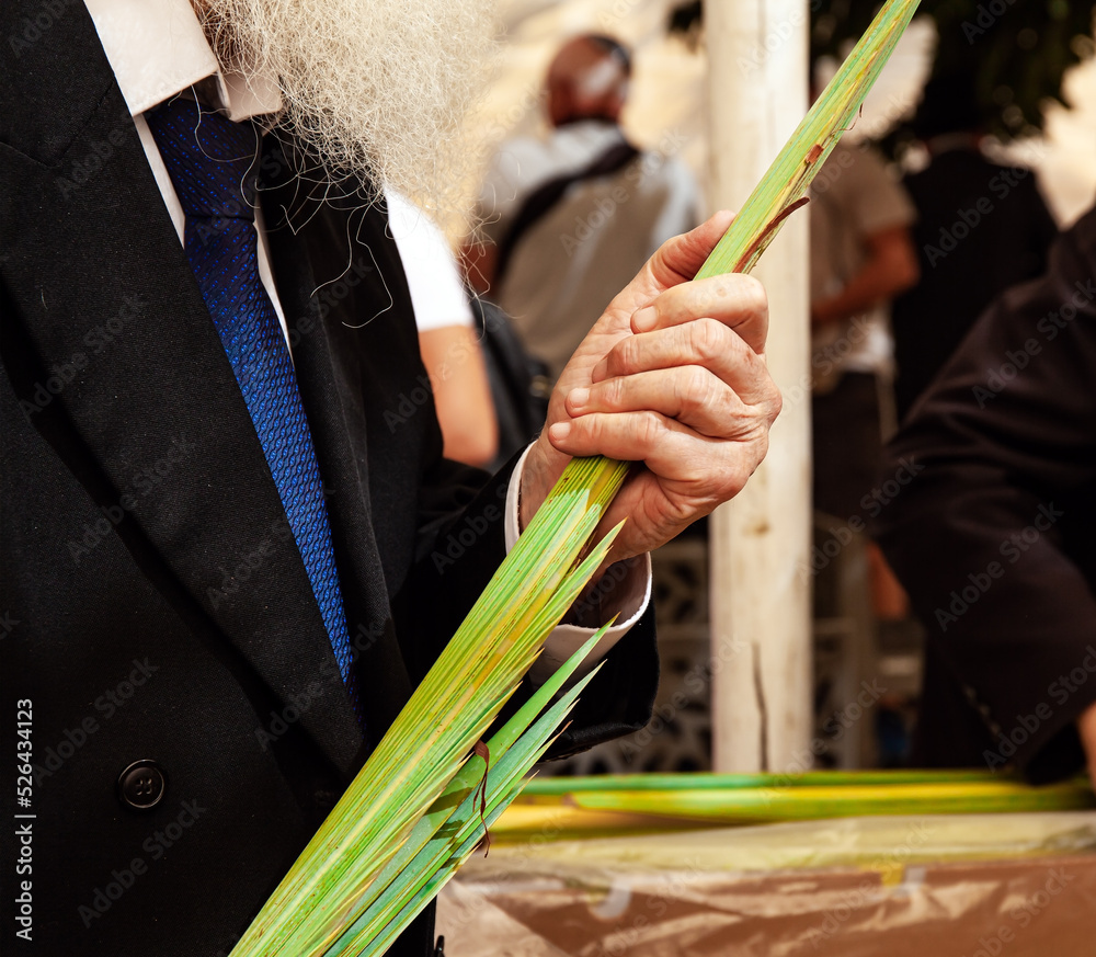 Sukkot - the Feast of tents