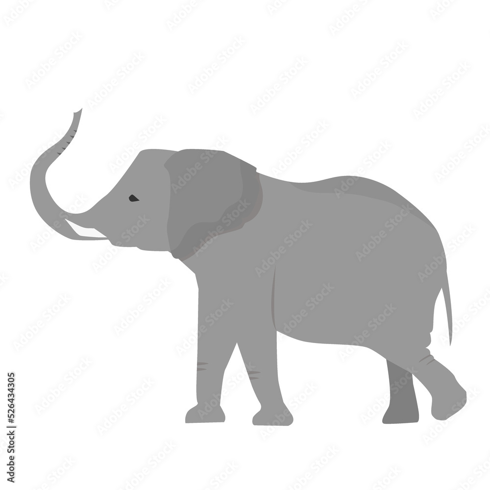 African elephant in flat style isolated on white background