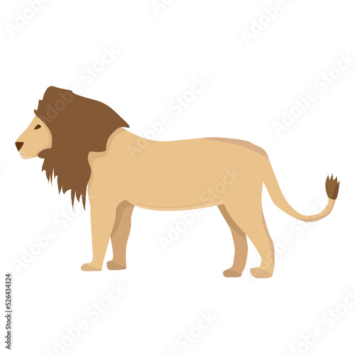 African lion in flat style isolated on white background