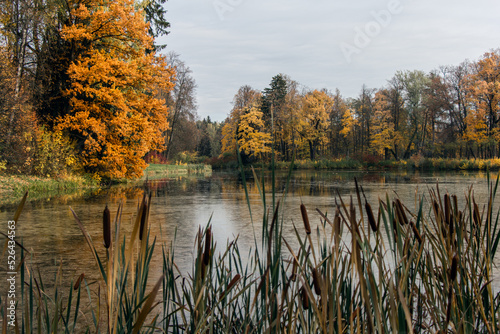 Lake in autumn park, in Pavlovsk park
