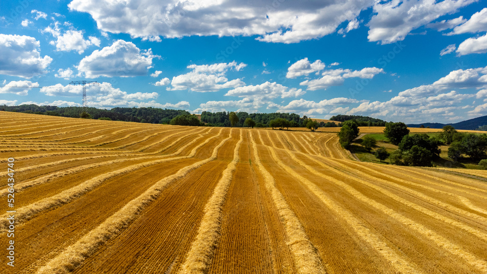 Spätsommerliche Getreideernte bei Schmalkalden - Thüringen - Deutschland