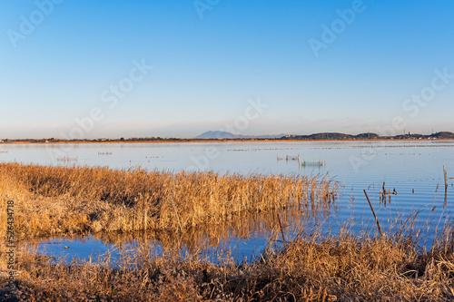 冬の印旛沼北部調整池と筑波山