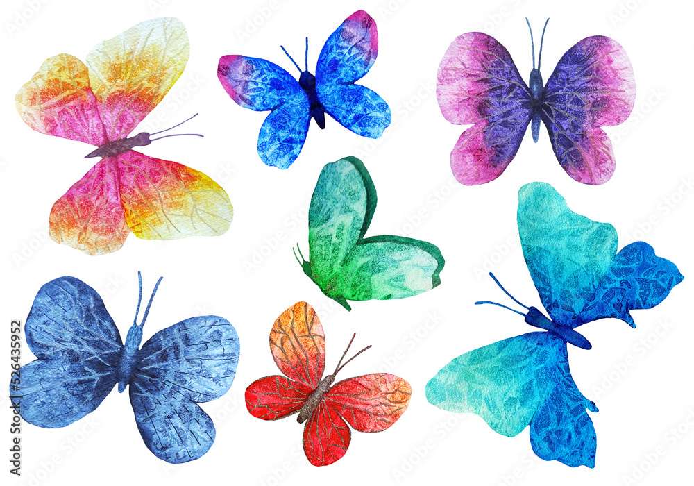 watercolor butterflies set