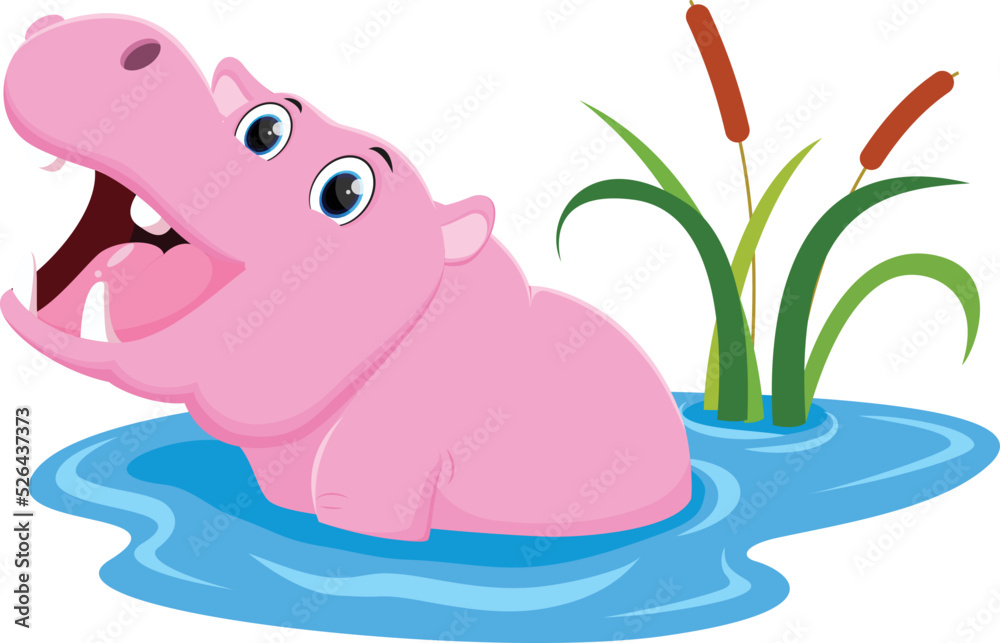 Cartoon happy hippo on water isolated on white 