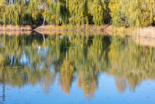 Reflection of trees on the surface of the water in autumn.