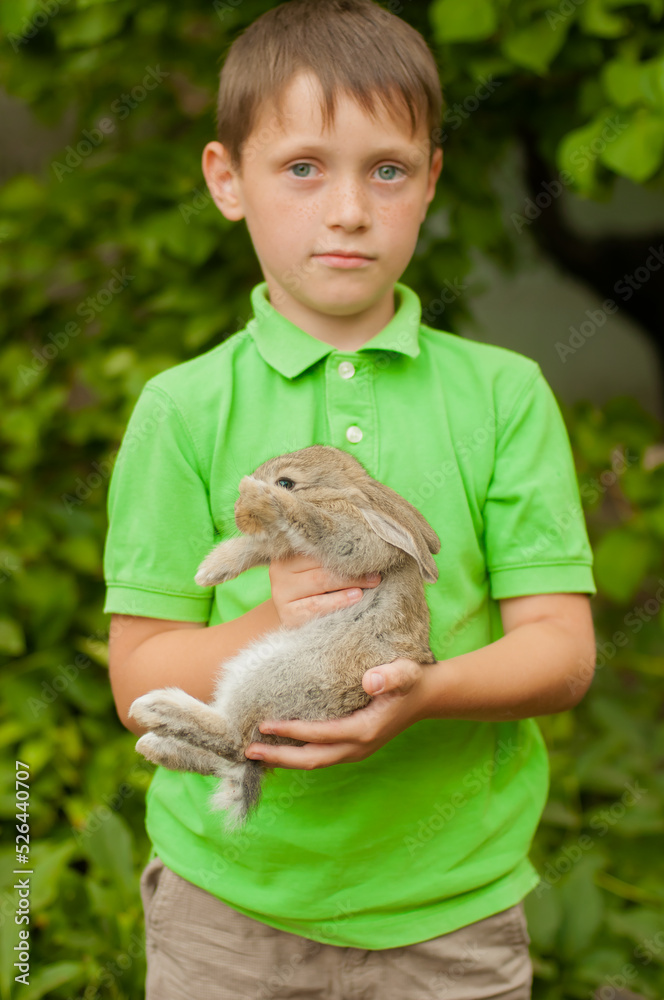 A cute boy in a green t-shirt holds a rabbit in his arms in nature in summer. Animals and children A cute boy in a green t-shirt holds a rabbit in his arms in nature in summer. Animals and children