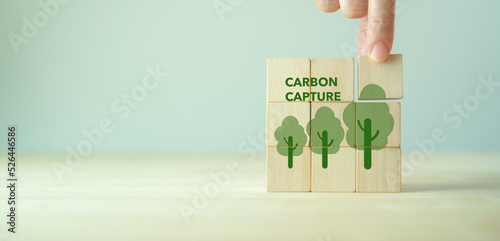 Carbon capture and storage concept. Cabon offset and reducing co2 target. Net carbon footprint neutralize development strategy. Reforestation, nature and ecology concept. World environment day.