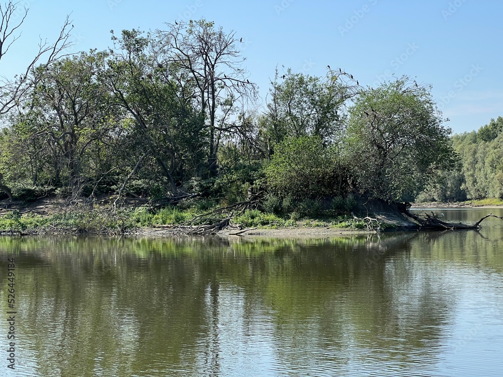 Lake Veliki Sakadas and floodplain forests, Kopacki rit Nature Park - Kopacevo, Croatia (Jezero Veliki Sakadaš i poplavne šume, Park prirode Kopački rit - Kopačevo, Hrvatska)