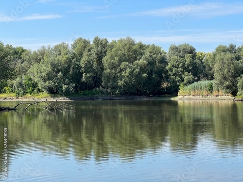 Lake Veliki Sakadas and floodplain forests, Kopacki rit Nature Park - Kopacevo, Croatia (Jezero Veliki Sakadaš i poplavne šume, Park prirode Kopački rit - Kopačevo, Hrvatska) photo