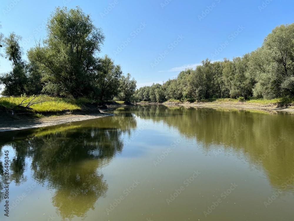 Lake Veliki Sakadas and floodplain forests, Kopacki rit Nature Park - Kopacevo, Croatia (Jezero Veliki Sakadaš i poplavne šume, Park prirode Kopački rit - Kopačevo, Hrvatska) Lake Veliki Sakadas and floodplain forests, Kopacki rit Nature Park - Kopacevo, Croatia (Jezero Veliki Sakadaš i poplavne šume, Park prirode Kopački rit - Kopačevo, Hrvatska)
