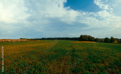 Landscape field  trees  haystack  forest  summer  4k  8k