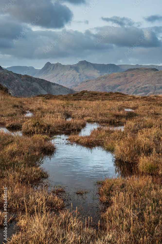 Majestic landscape image of stunning Autumn sunset light across Langdale Pikes looking from Holme Fell in Lake District