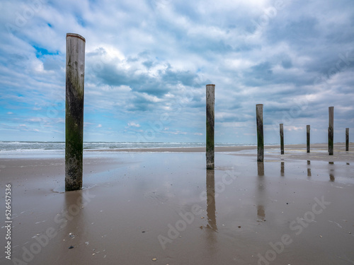 Petten, Noord-Holland, province, The Netherladns photo