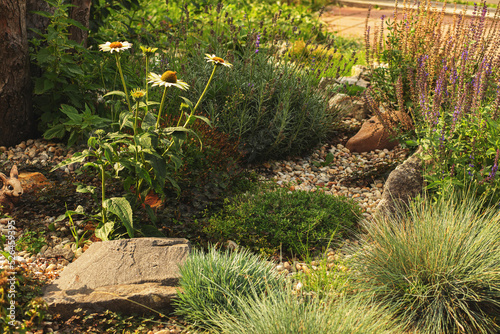 Decorated colorful flowerbed with stones as a decorative elements. Landscape design.