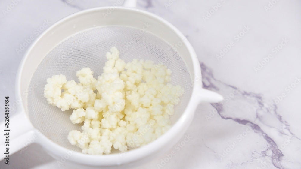 Kefir grains ready to ferment milk into kefir Kefir grains ready to ferment milk into kefir