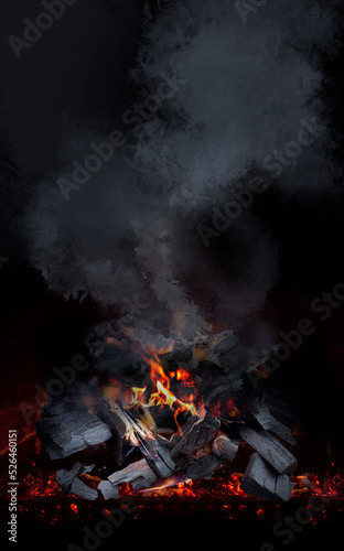 Canvas Print Burning coal in a barbecue pit