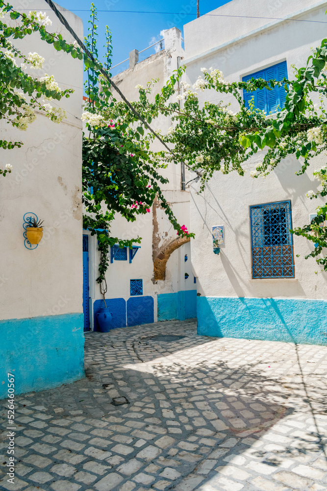 Φωτογραφία street in the town of island country