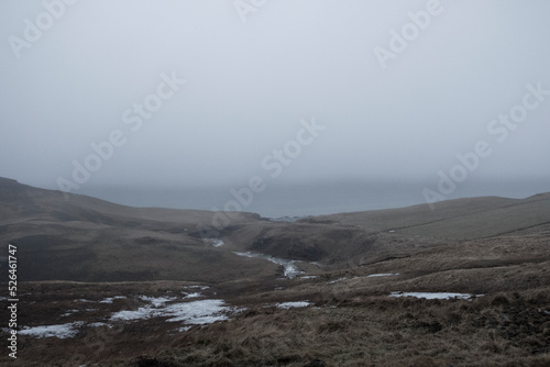 Foraging - Hvalfjörður